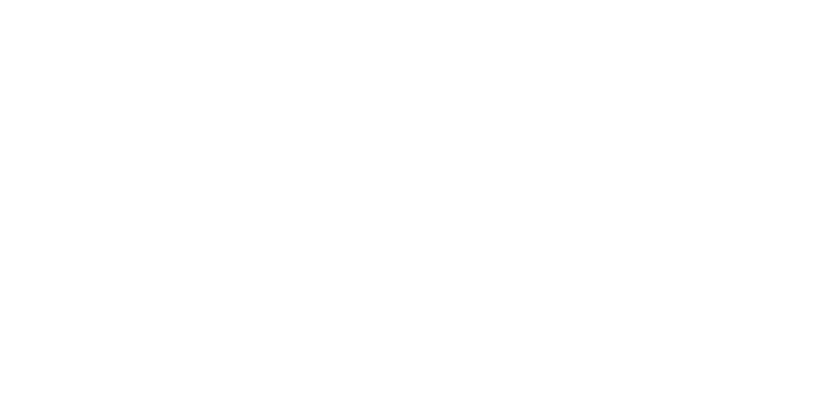 Nits de Circ logo