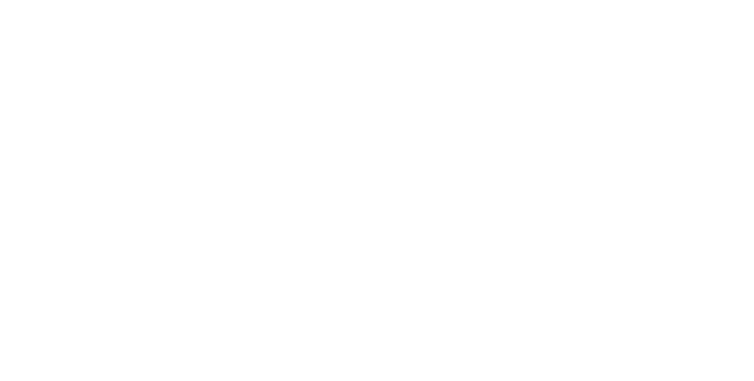 Logo Nits de Circ